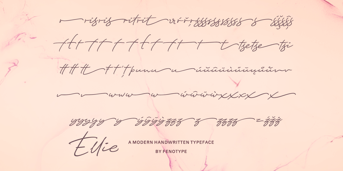 Ellie Script Font Family by Fenotype | Font Bros
