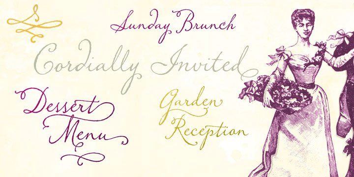 Stephen Rapp Typographer Memoir Font Family by Stephen Rapp | Font Bros