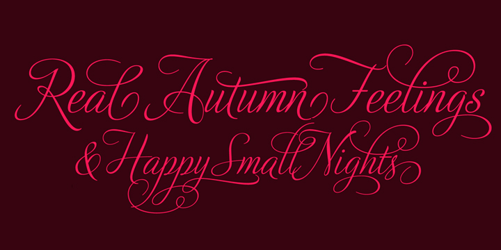 Adios Script Pro Font Family by Sudtipos | Font Bros