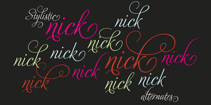 Adios Script Pro Font Family by Sudtipos | Font Bros