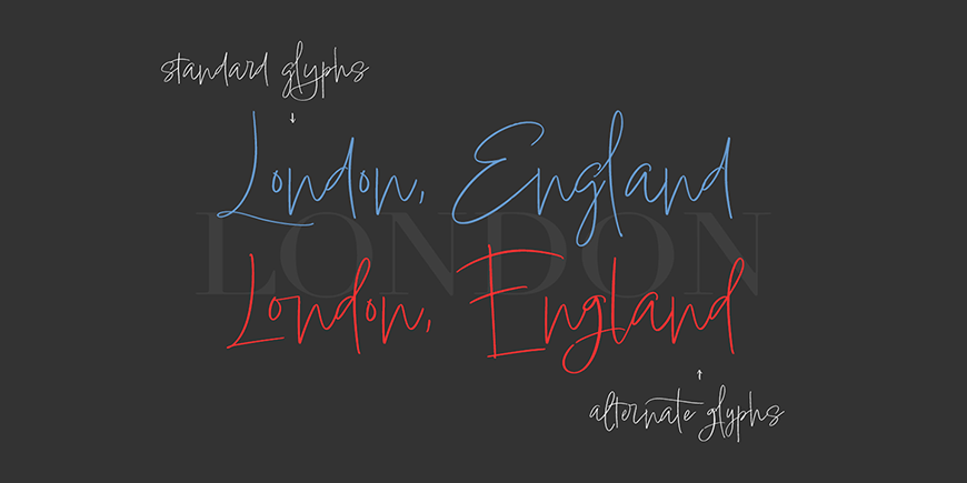 Linsey Cursive Lindsey Signature Font Family by Tart Workshop | Font Bros
