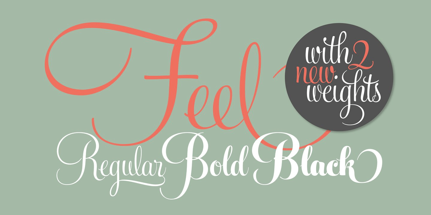 Feel Script Font Family by Sudtipos | Font Bros