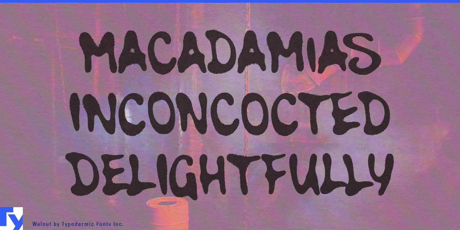 Walnut Font Family by Typodermic Font Bros