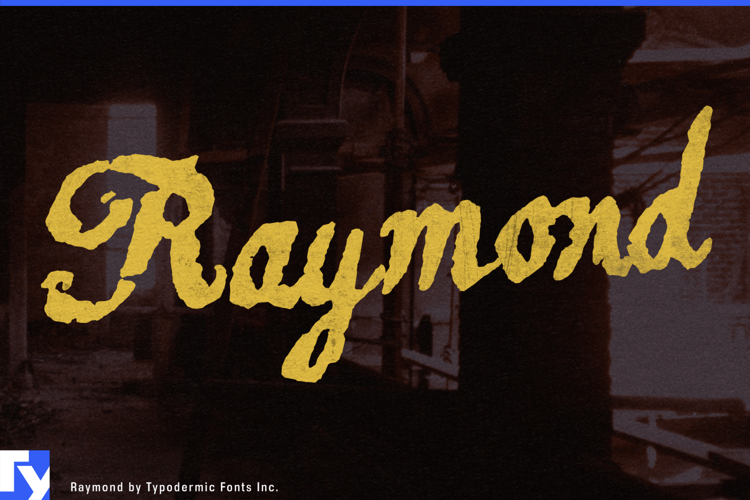 Raymin Lettering Raymond Font Family by Typodermic | Font Bros