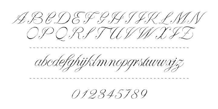 Paulette Font Family by Rosario Nocera | Font Bros